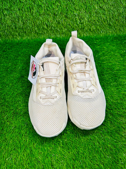 Nike Pegasus Trail