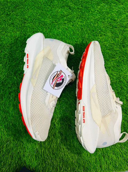Nike Pegasus Trail